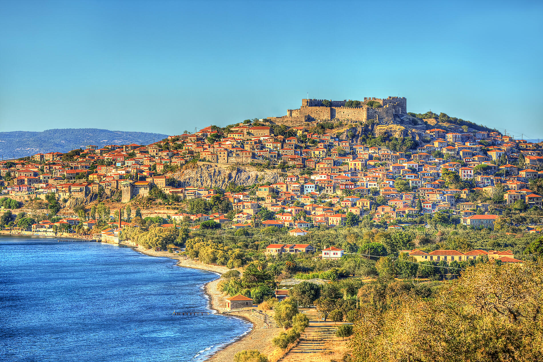 iStock-637365716.jpg