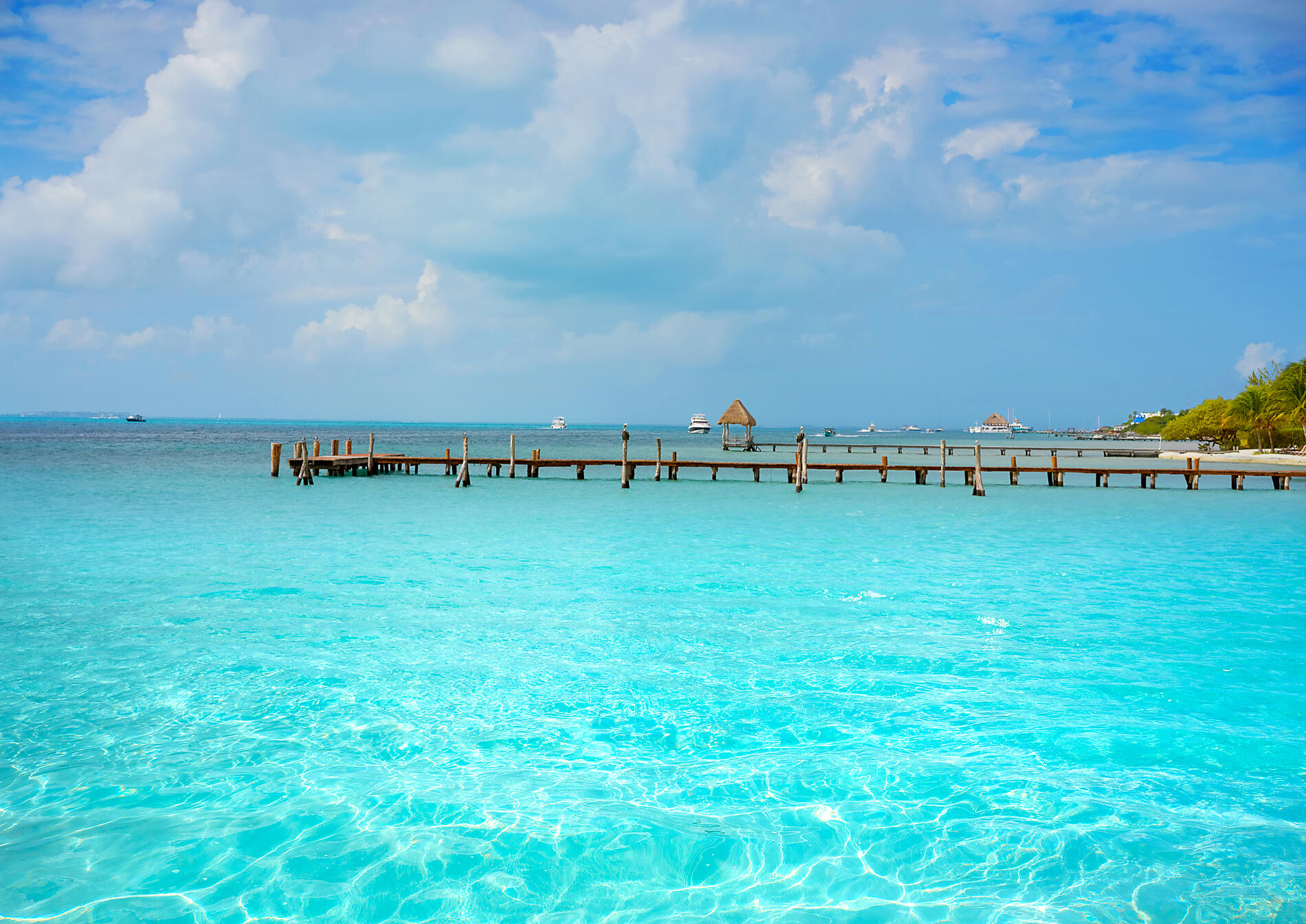 iStock-913758392.jpg