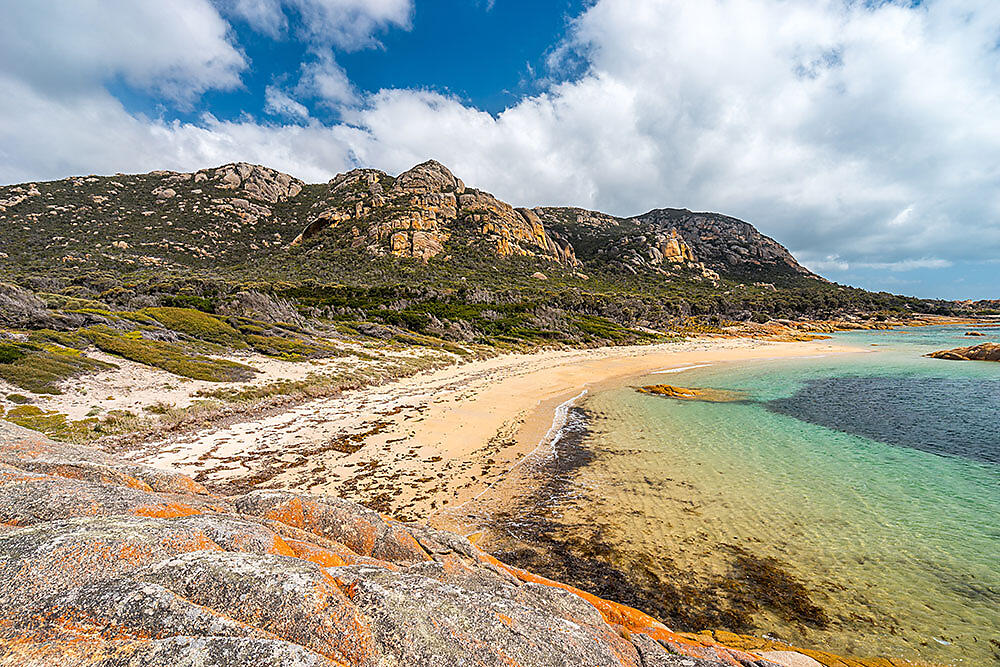 flinders.jpg
