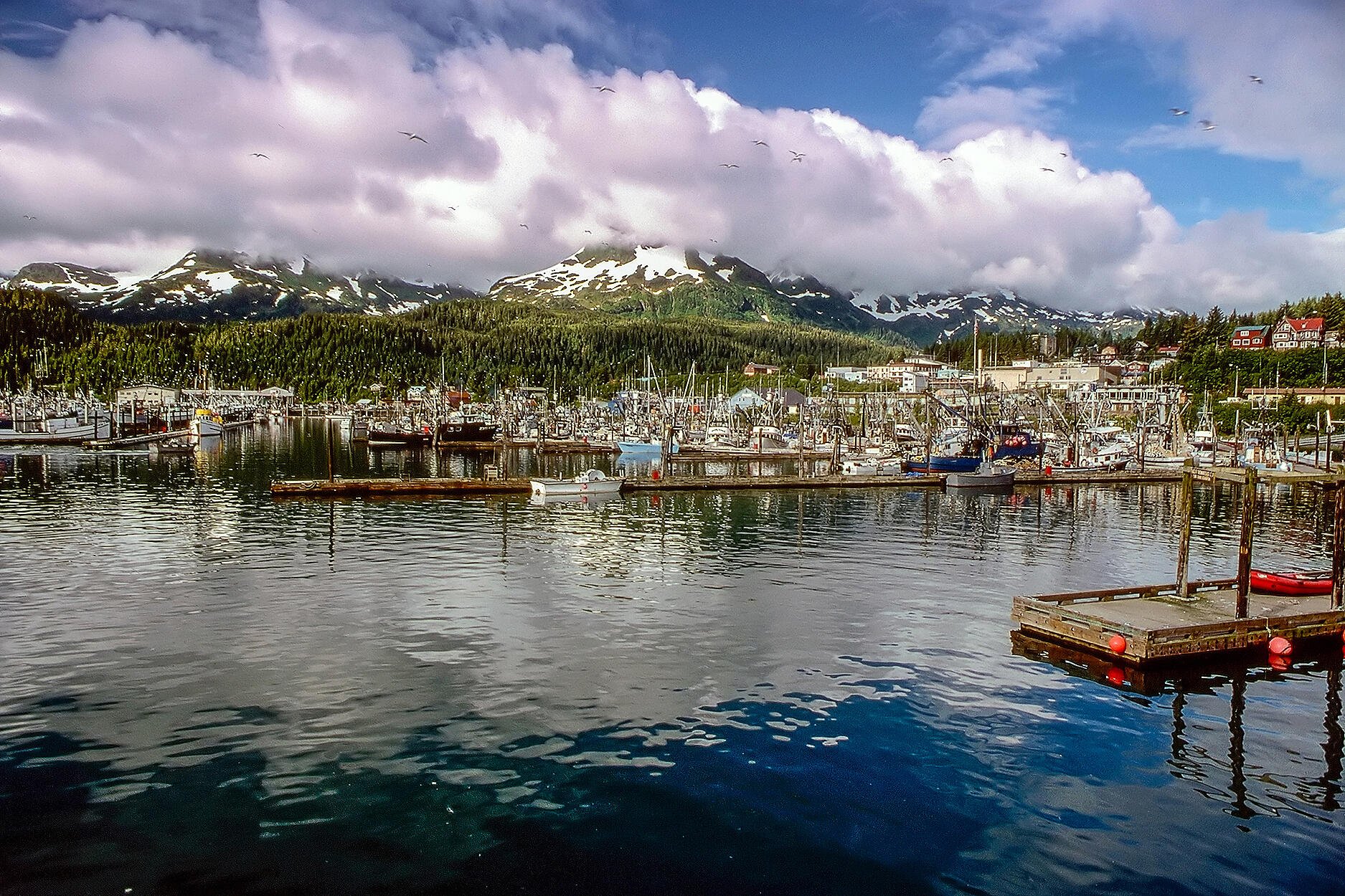 iStock-599113052.jpg