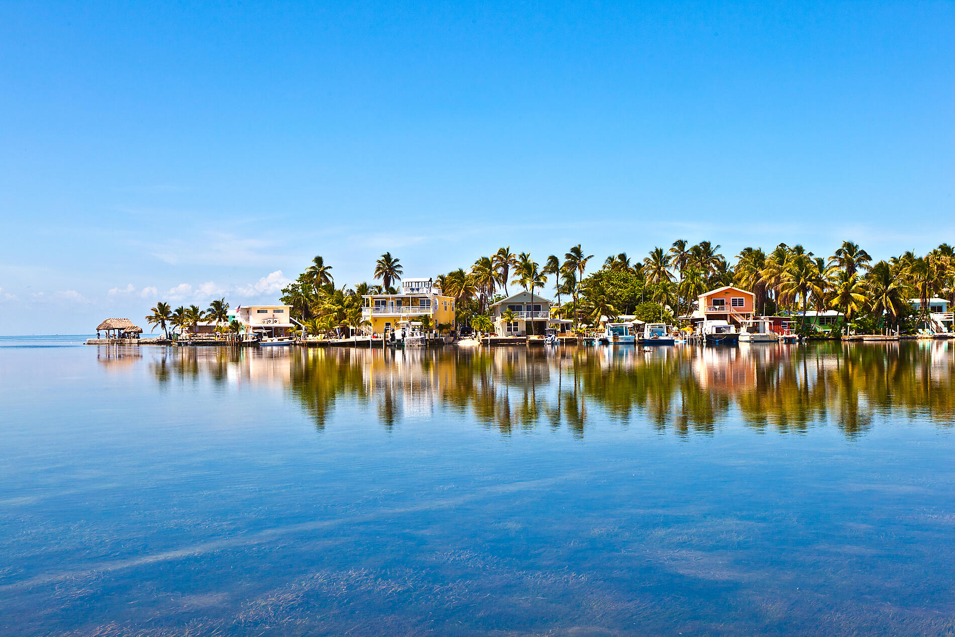 iStock-178735562.jpg