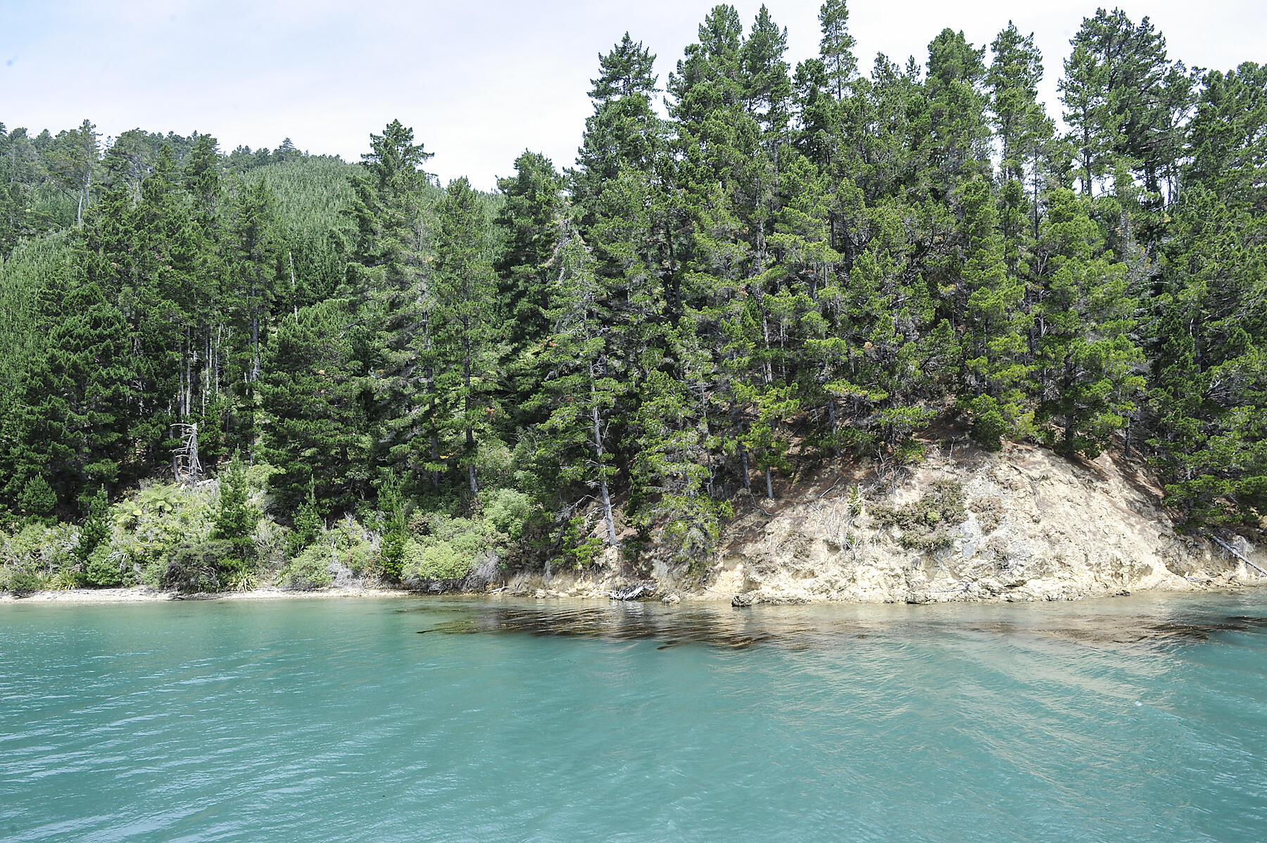 N-713_S220116_Picton©StudioPONANT_Margot-Sib.jpg