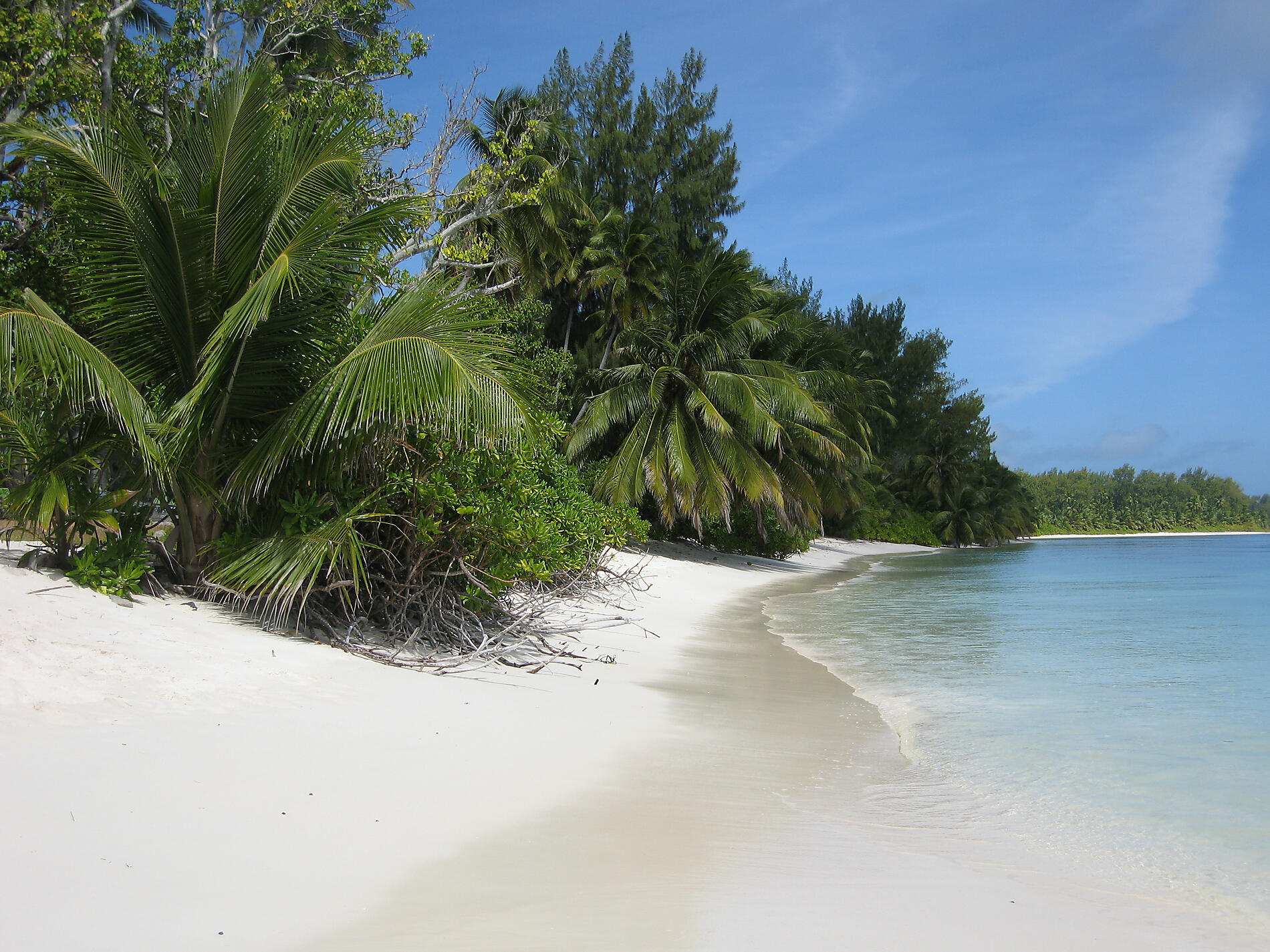 iStock-817174922_Desroches.jpg