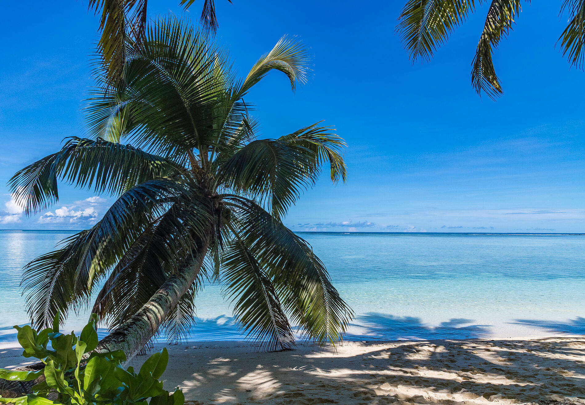 16-Y010419_Alphonse-Island_Seychelles©StudioPonant-LaurenceFISCHER.jpg