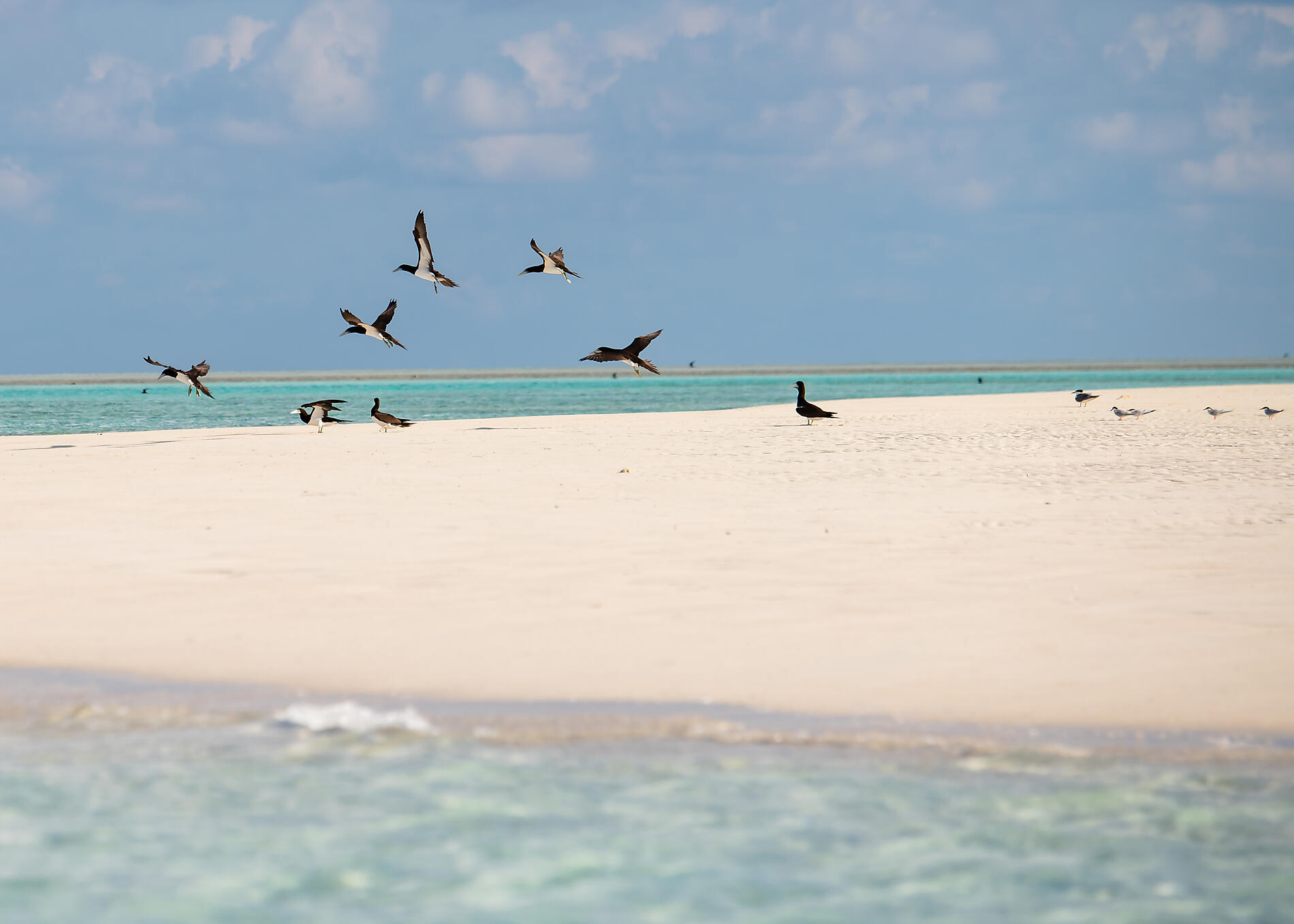 N°-1129_R280422_Darwin-Broome@StudioPONANT-Laure Patricot.jpg