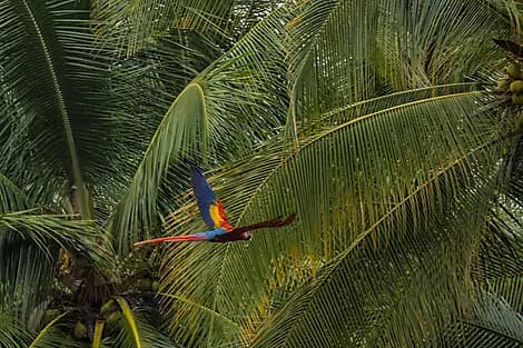 8 Jan 26 - Golfito