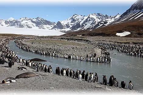 14 Nov 25 > 16 Nov 25 - South Georgia