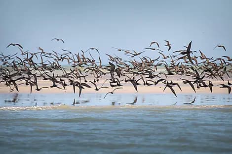 20 Sept 25 - Lacepede Islands