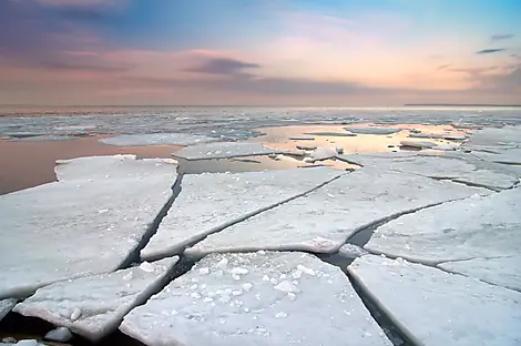 28 July 26 - Sailing toward the ice floes
