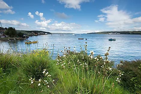 7 Nov 26 - Quemchi, Chiloe Island