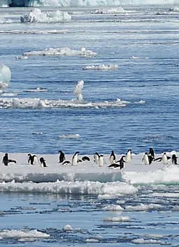 31 Jan 27 > 7 Feb 27 - Ross Sea Region