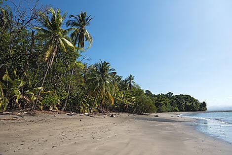 11 Mar 26 - Cébaco Island