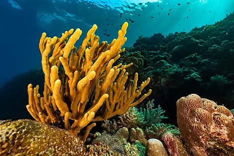 7 Oct 25 - Barat Daya Islands
