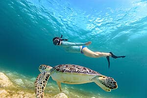 Marine park sail & snorkel