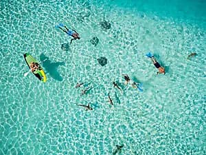 Sharks & stingrays encounter
