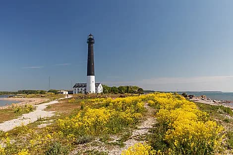 14 July 26 - Saaremaa