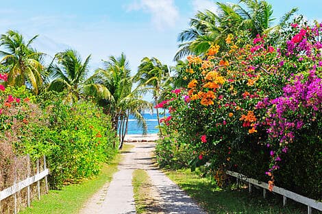 24 Feb 26 - Charlestown, Nevis