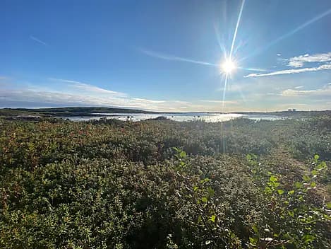 3 Oct 25 - La Romaine