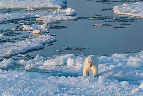 10 Sept 26 - Coningham Bay, Nunavut