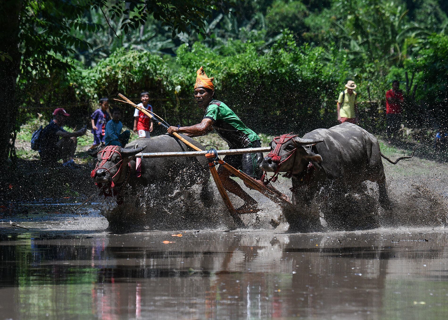 Tropical Indonesian odyssey 