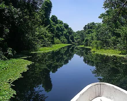 4 Jan 26 - Cuero y Salado