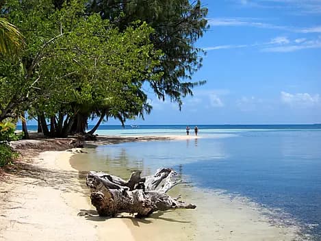 13 Jan 26 - Water Caye, Isla Utila