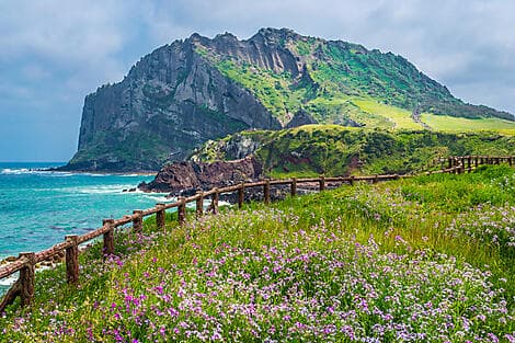 13 Mar 26 - Jeju