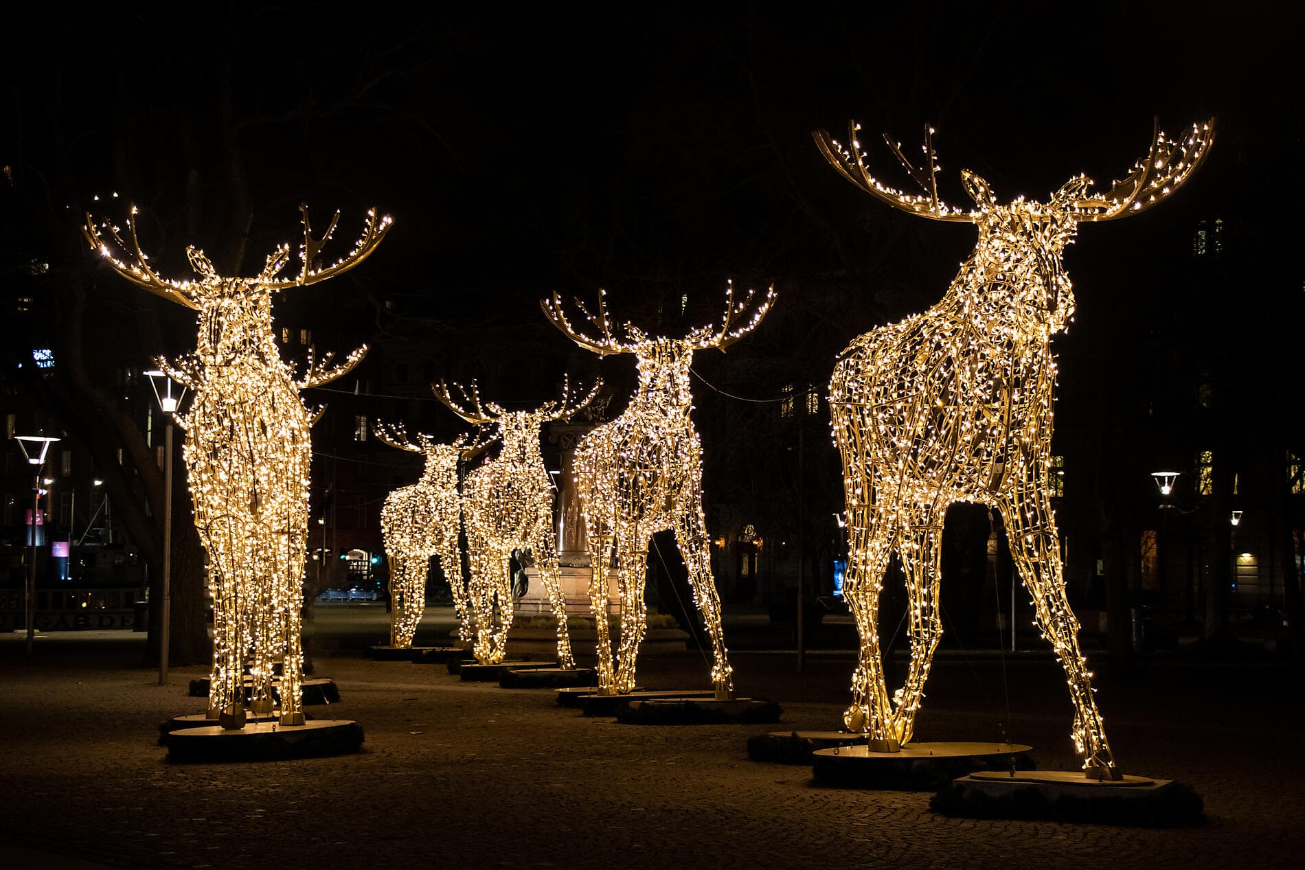 Baltic Bliss & Winter Wonders 