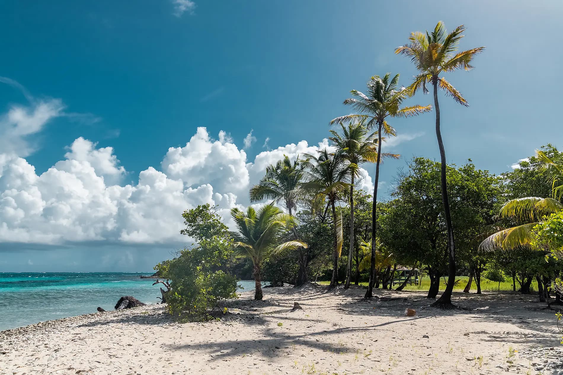 History and culture visiting Caribbean jewels 