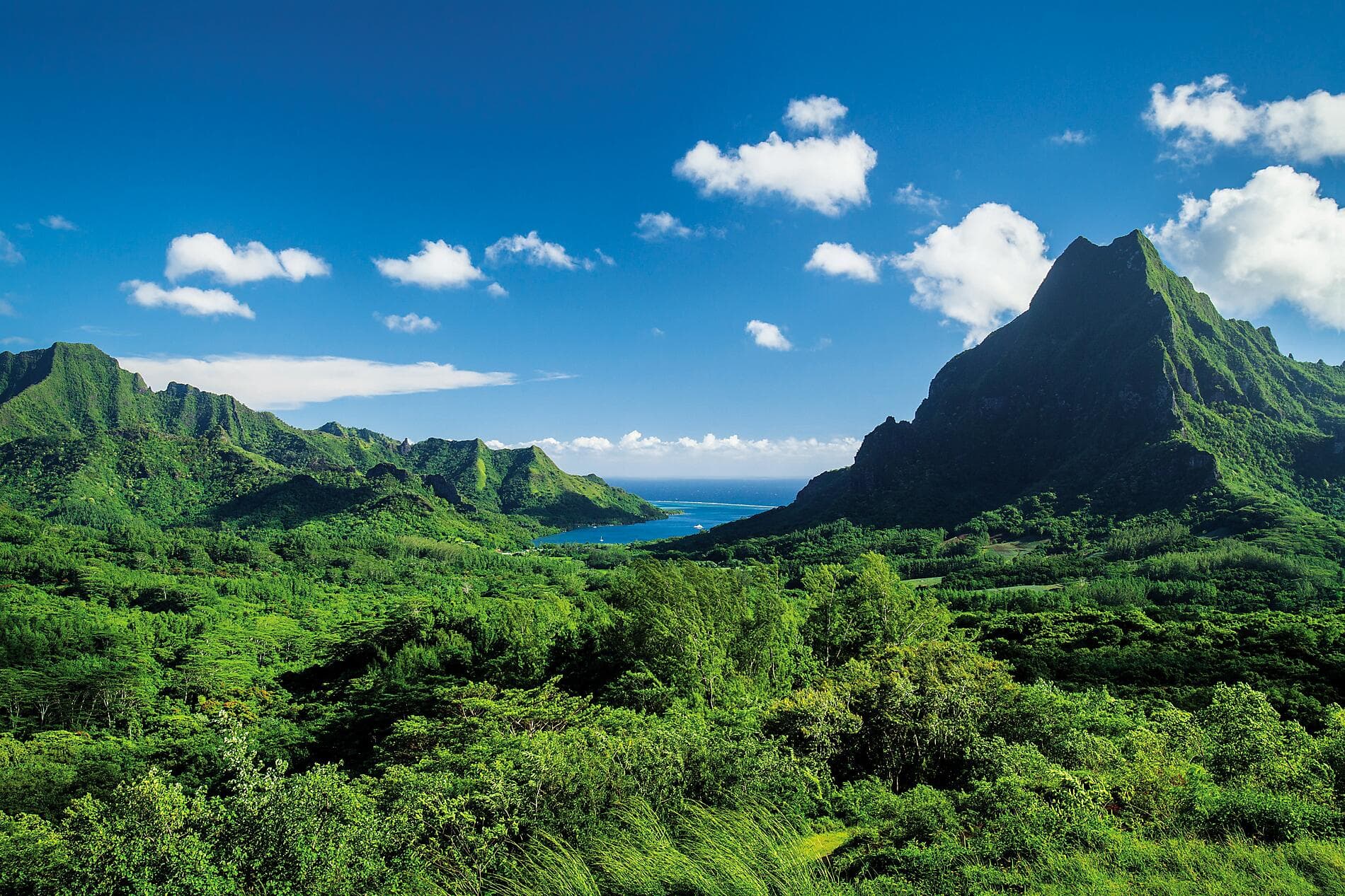 The archipelagos and ancestral cultures of the South Pacific 