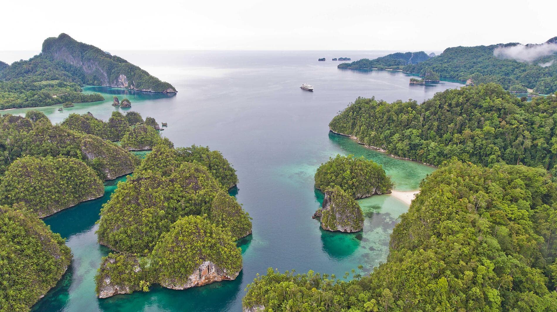New Guinea Odyssey 