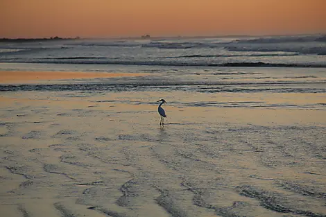 19 Mar 27 - Rio Grande