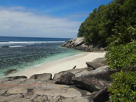 17 Dec 26 - Middle Island