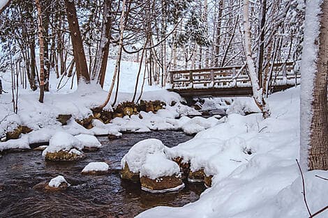 EXPLORE THE LAURENTIDES AND MONTREAL (4 NIGHTS)