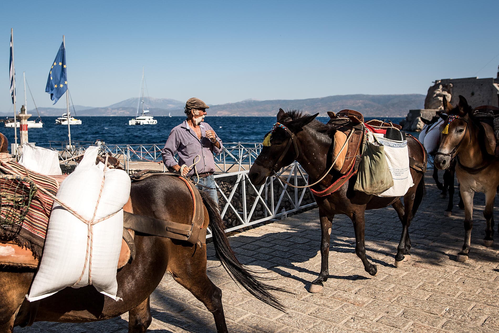 Mind and taste buds awake with the Mucem in the Mediterranean 