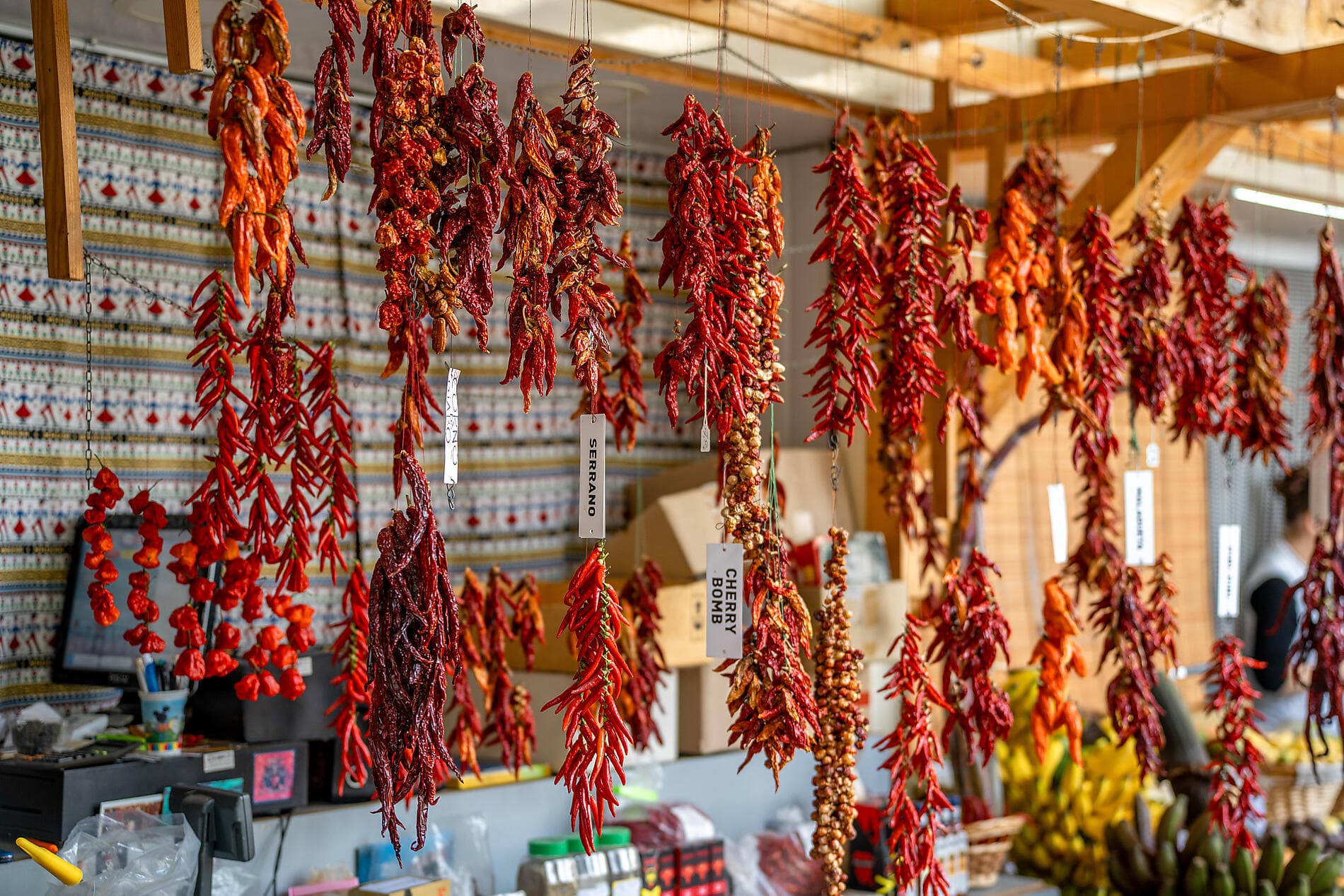 Madeira and the Azores