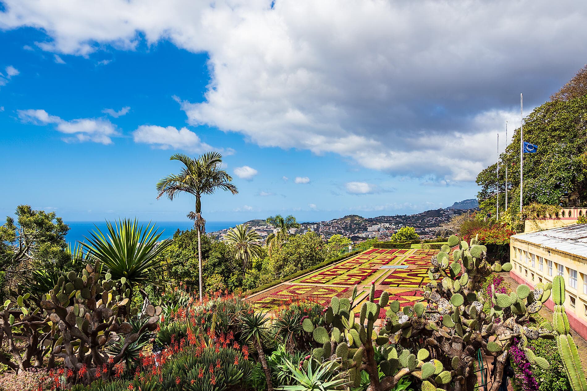 Madeira and the Azores