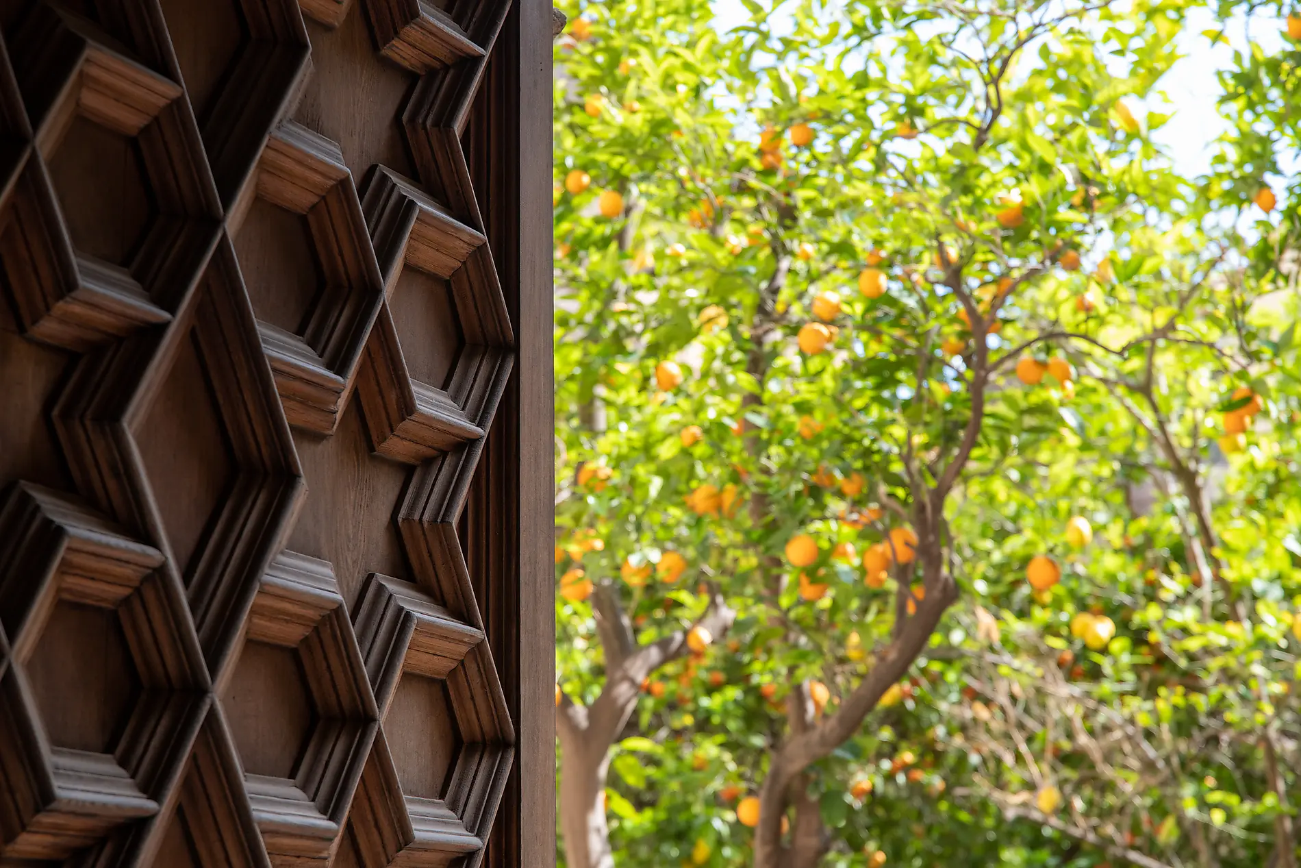 Treasures of the Western Mediterranean