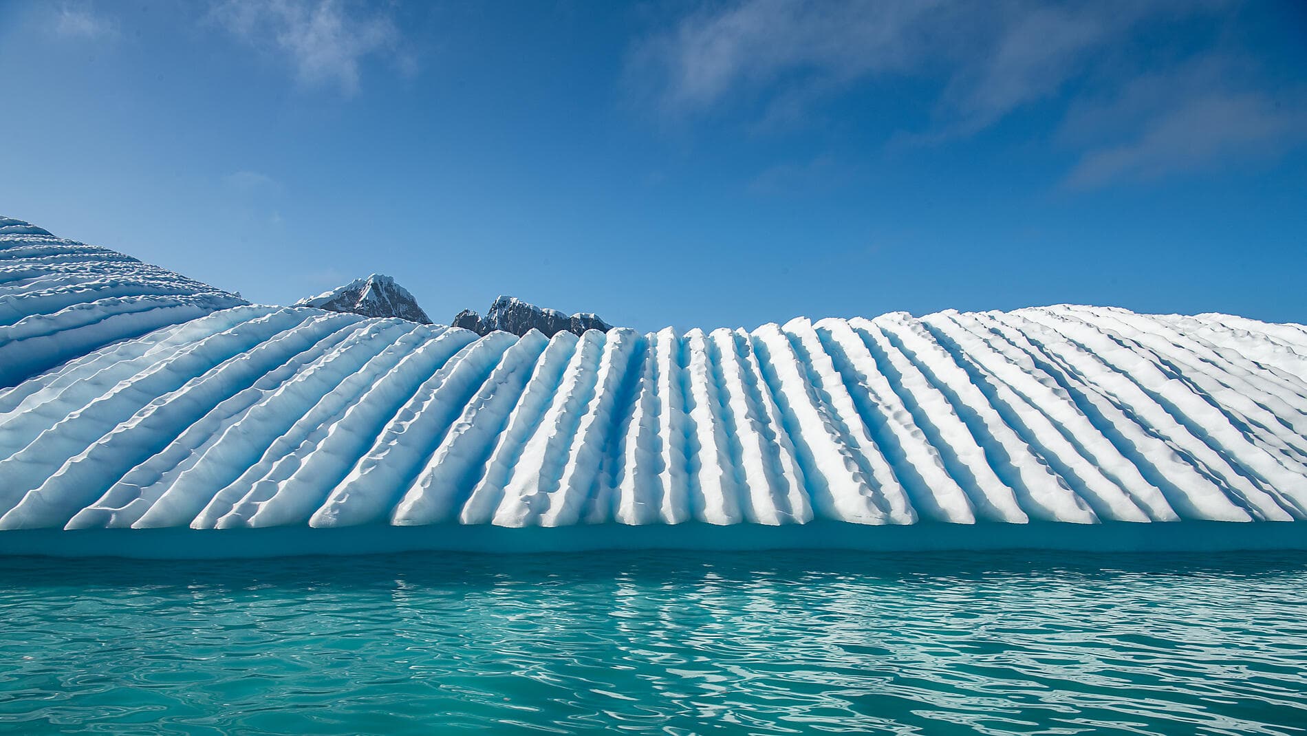 Journey to Austral Lands and Valdes Peninsula 