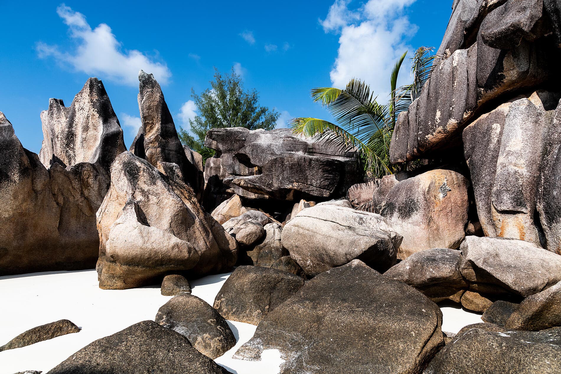 Madagascar and Seychelles: Natural Treasures of the Indian Ocean - with Smithsonian Journeys 