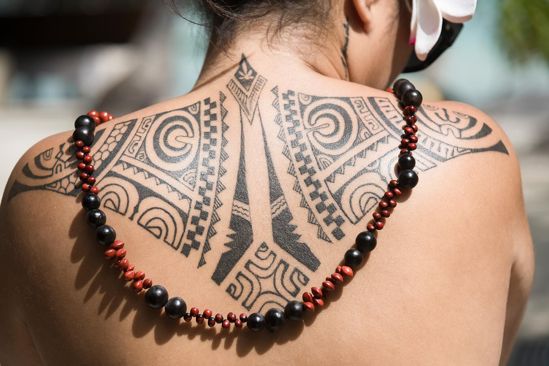 Cook Islands & Society Islands  