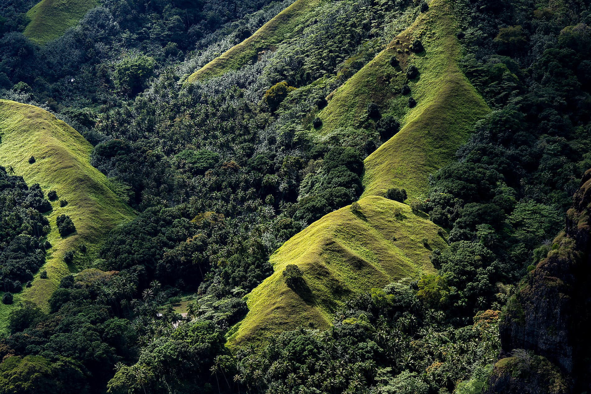 Marquesas, The Tuamotus & Society Islands 
