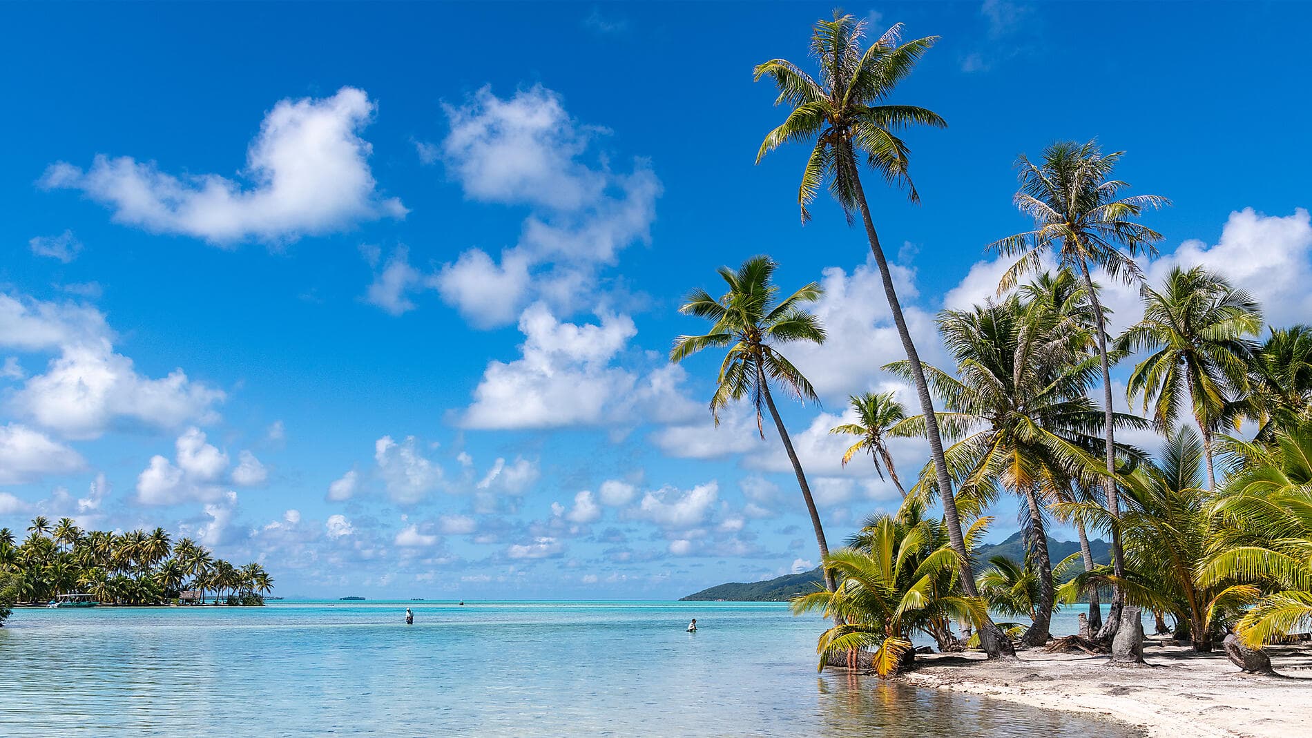 Marquesas, The Tuamotus & Society Islands