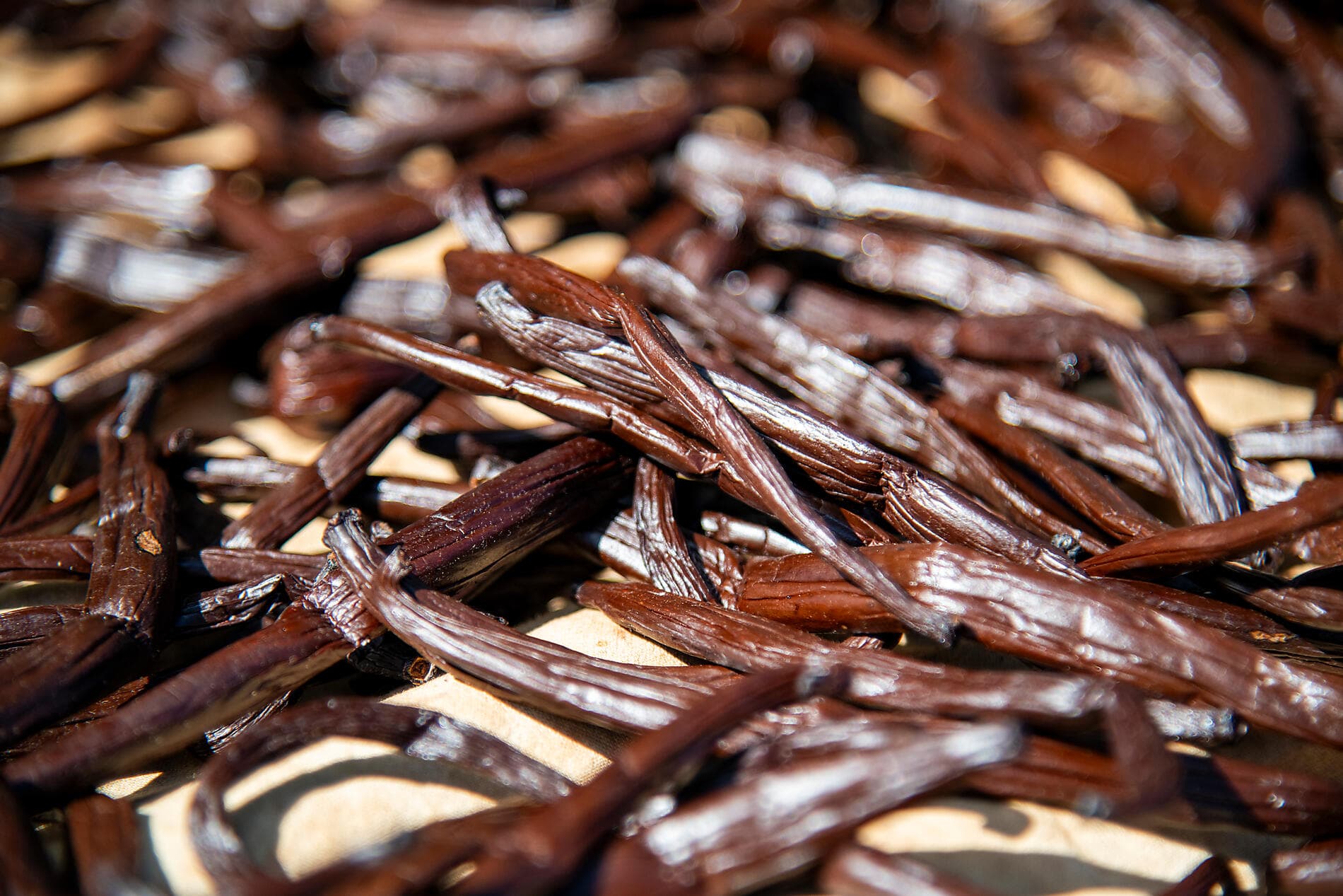 Marquesas, The Tuamotus & Society Islands