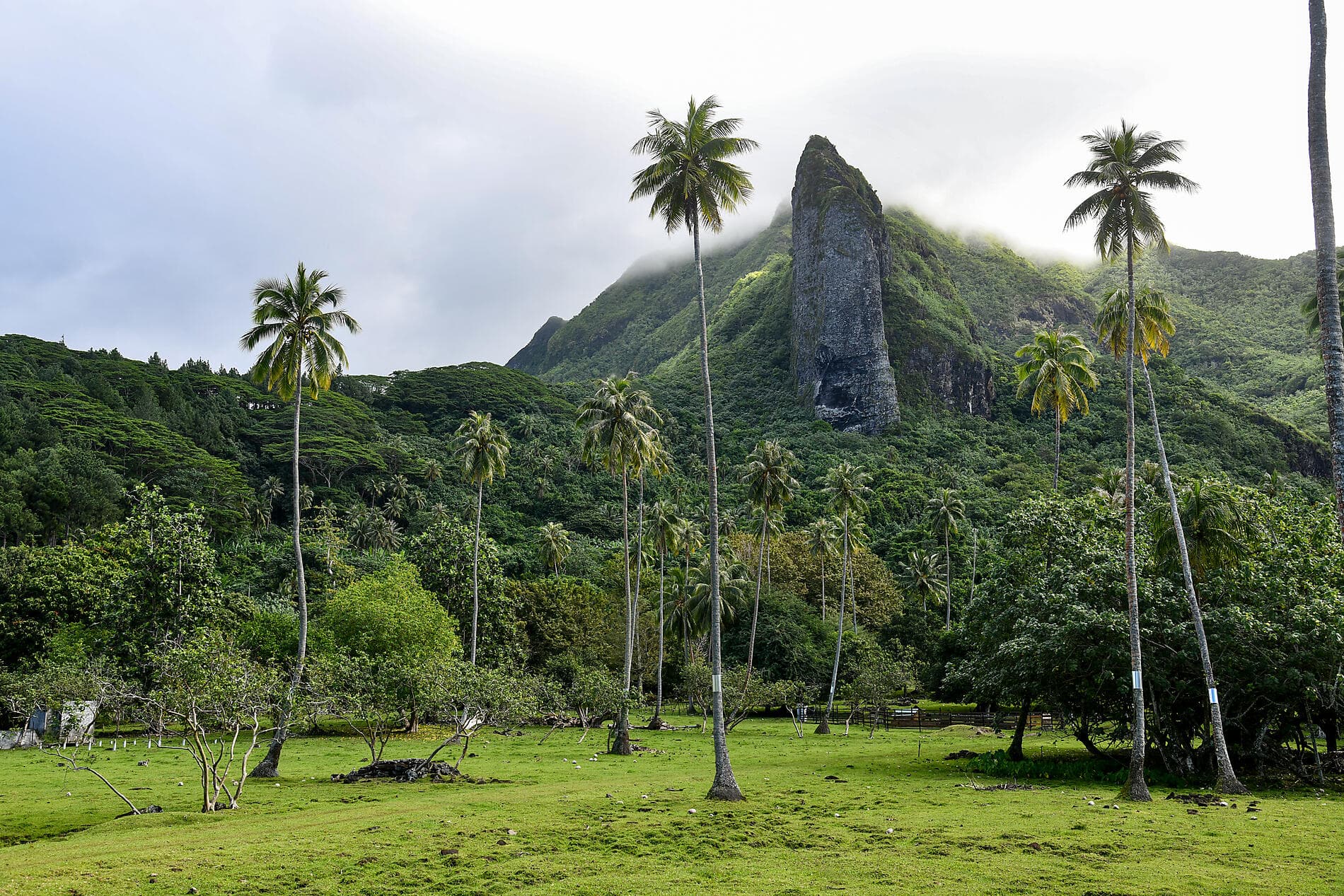 Society Islands & The Tuamotus 