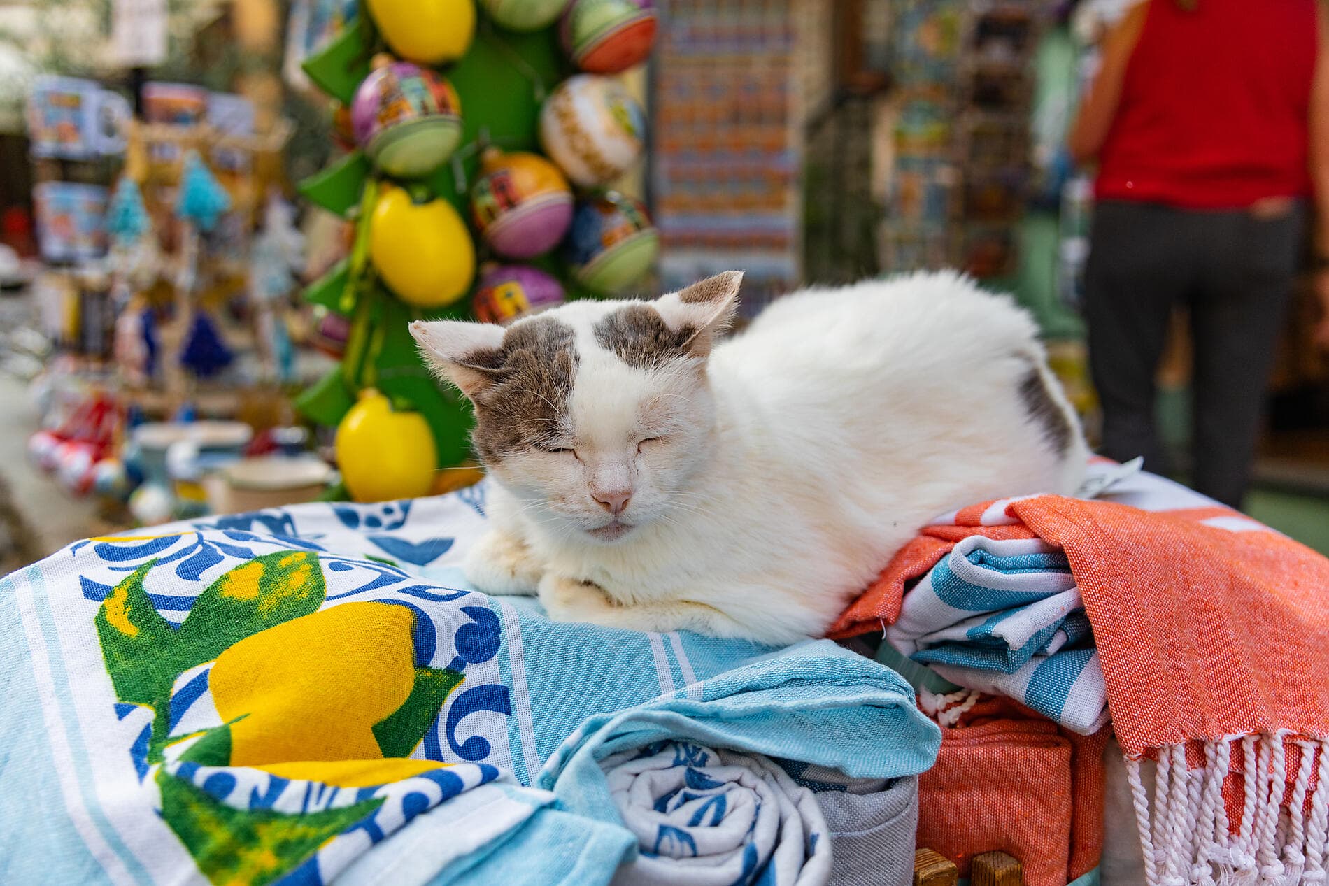 Hidden gems of the Western Mediterranean 