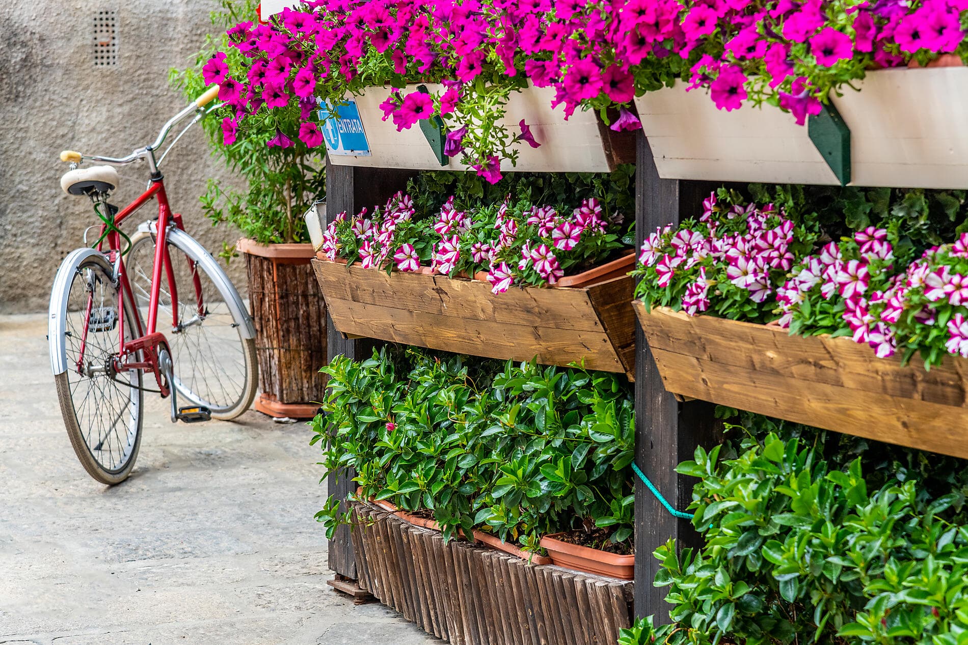 Hidden gems of the Western Mediterranean 