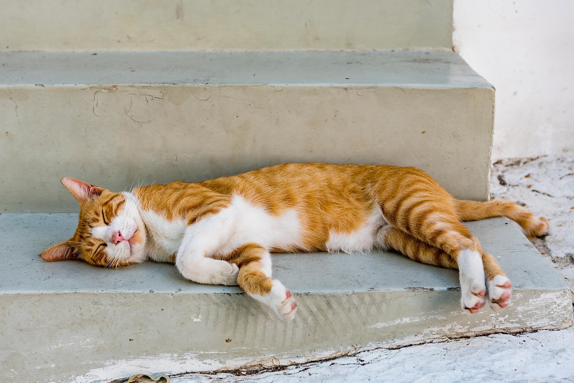 Wandering the Mediterranean  