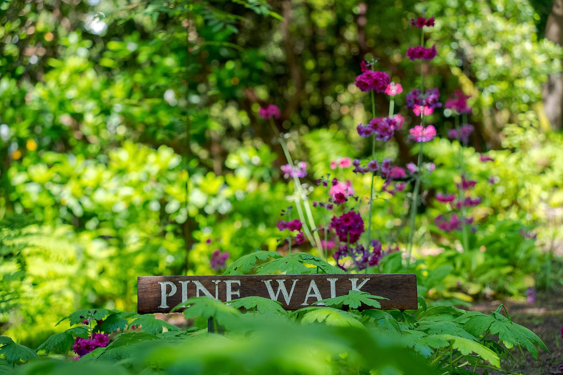 Hebrides and Highlands, lands of legends 