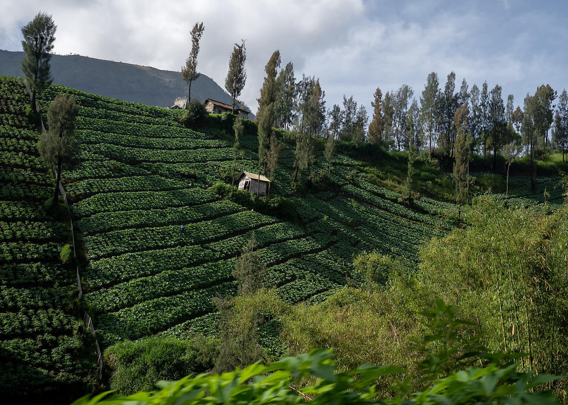 Islands, cities and volcanoes of Indonesia  